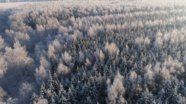 istock winter landscape in countryside 1084441138
