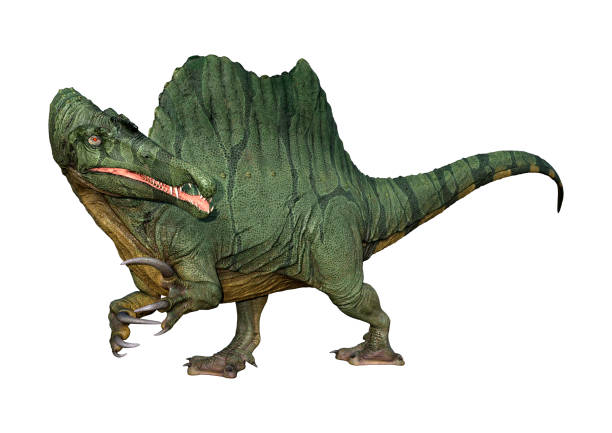 istock 3D illustration green dinosaur Spinosaurus on white 1084443684