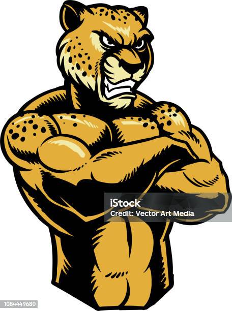 Angry Cheetah Stock Illustration - Download Image Now - Jaguar - Cat, Leopard, Muscle