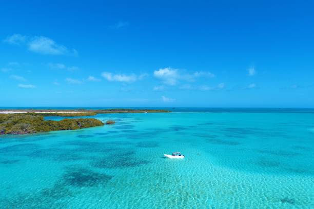istock Caribbean scenery of Los Roques, Venezuela 1084452896