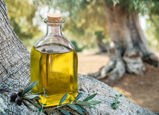 istock Bottle of olive oil under the olive tree. 1084454856