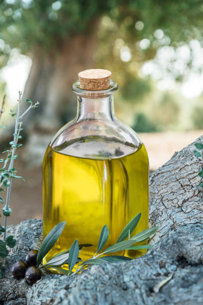 istock Bottle of olive oil under the olive tree. 1084455004