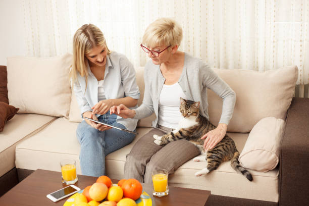 istock Daughter teaching senior mother how to use a tablet 1084456074