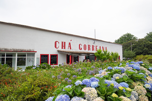 The Cha Gorreana tea production building near Sao Bras, Portugal on August 5, 2017.