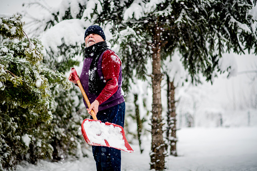 Senior cleaning  snow from trees after massive snowfall