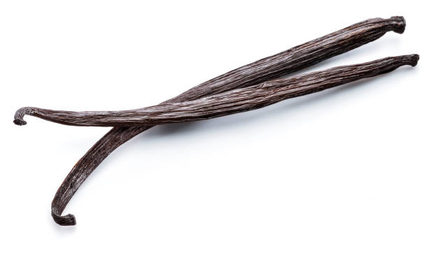 istock Dried vanilla fruits. 1084459664