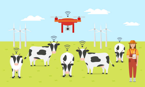 Woman farmer with tablet on a modern dairy farm. Smart farming mobile application Woman farmer with tablet on a modern dairy farm. Smart farming. Robot shepherd. Internet of things in cattle grazing. Vector illustration. herd of cows stock illustrations