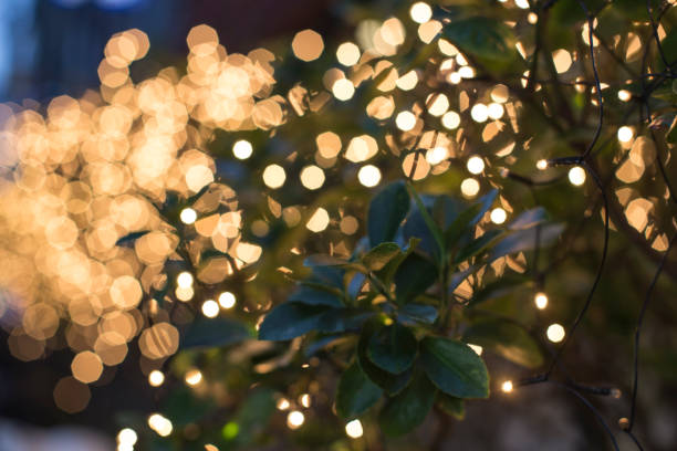 istock Blurred image of light bulbs outdoor. Christmas concept 1084465246