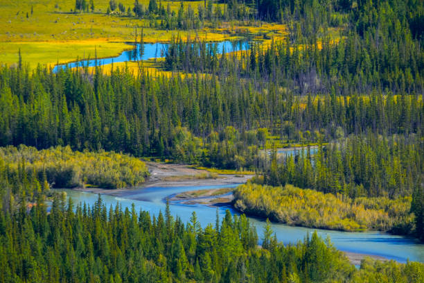 istock The river of Katun 1084476184