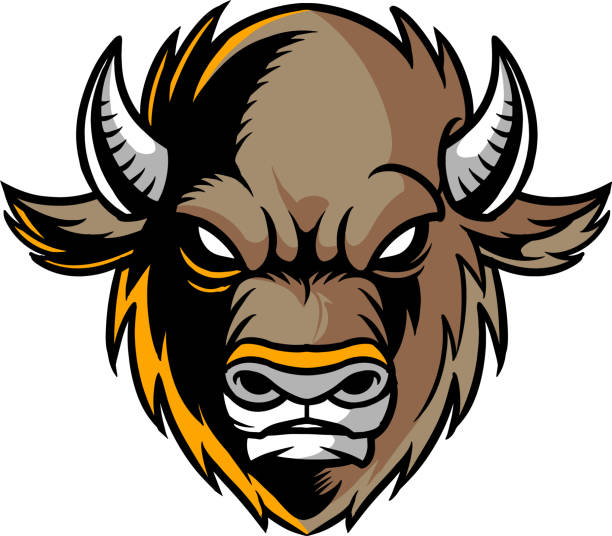 ilustrações, clipart, desenhos animados e ícones de buffalo - white bison