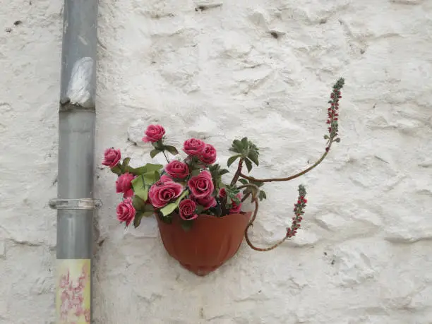 a plastic plantpot with plastic roses hanging on a white painted wall near a drainpipe
