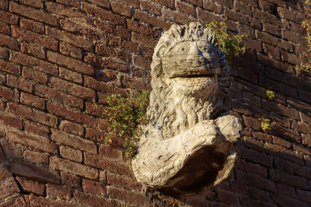 Lion observing the square