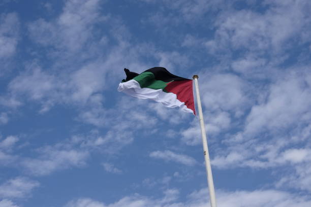 istock Jordanian flag in the wind 1084494616
