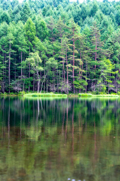 istock autumn in Japan 1084497758