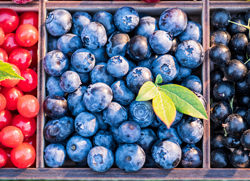 Blueberries in wooden box and other berries. Top view.