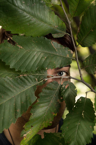 彼の顔の前に葉を森の中で若い男の肖像画を設定します。 - autumn leaf flash ストックフォトと画像