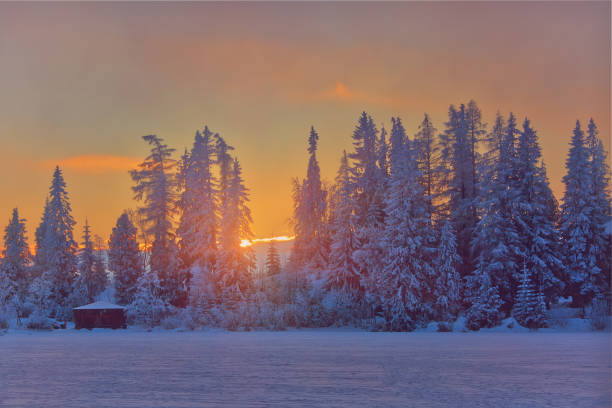 istock Winter sunset in Slovakia, sunrays through old fir trees 1084527140