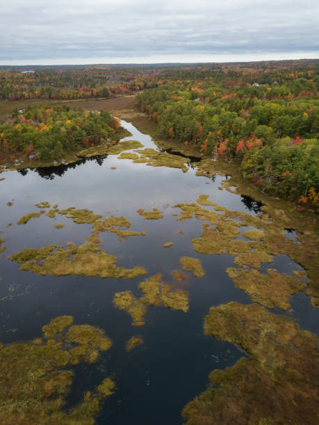 istock Aerial Canadian Landscape 1084542604