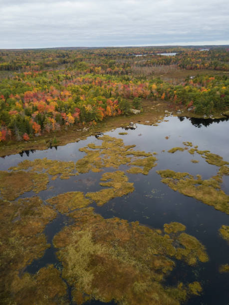 istock Aerial Canadian Landscape 1084542618