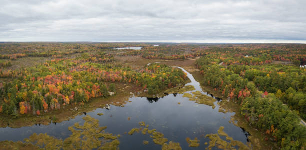 istock Aerial Canadian Landscape 1084542622
