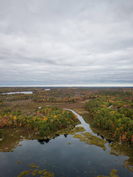 istock Aerial Canadian Landscape 1084542626