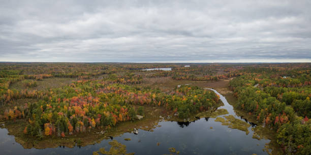 istock Aerial Canadian Landscape 1084542630