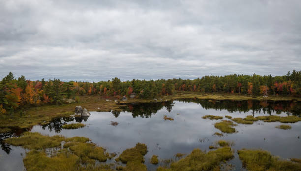istock Aerial Canadian Landscape 1084542690