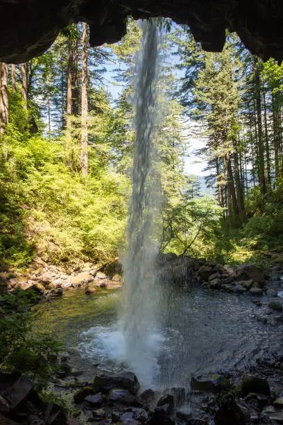 Back cave view of Ponytail Falls in the Columbia River  Gorge waterfall area of Oregon