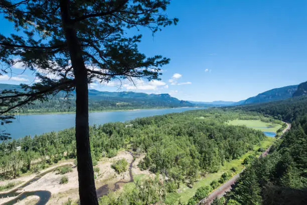 Scenic viewpoint from the Columbia River Gorge in Oregon