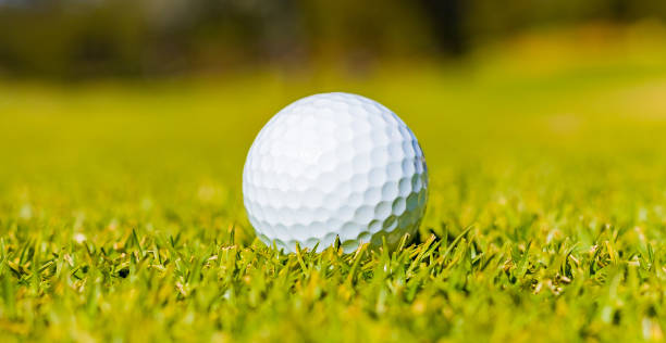 istock Close up of a Golf Ball on a Fairway green 1084552002