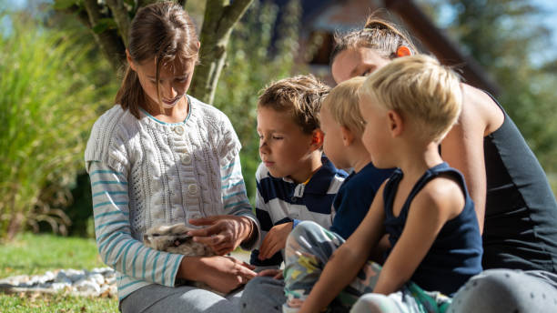 istock Four kids with their mum petting pet rabbit 1084557210