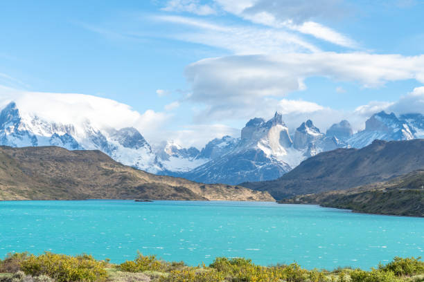 istock Torres del Paine National Park 1084563108