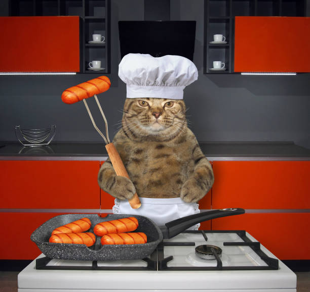 istock Cat cooks sausages in the kitchen 1084566748