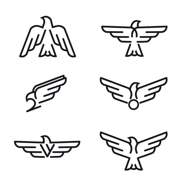 set von vögel predator linie icons. - adler stock-grafiken, -clipart, -cartoons und -symbole