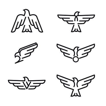 Set of birds predator line icons, isolated on white background. Template for your project. Vector illustration.
