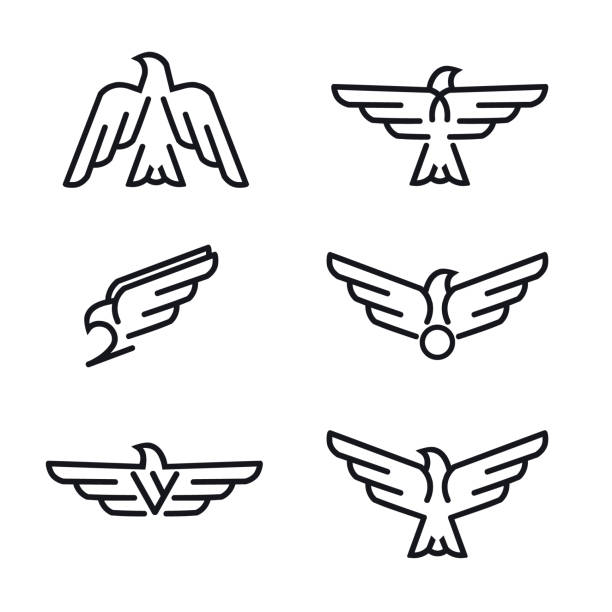 Set of birds predator line icons. Set of birds predator line icons, isolated on white background. Template for your project. Vector illustration. eagle bird stock illustrations
