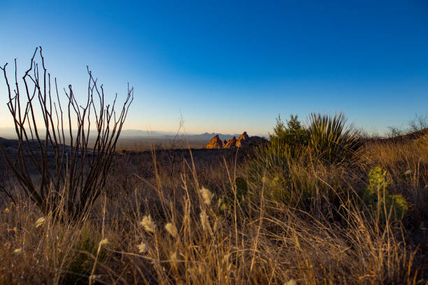 istock Landscape from Hiking on Organ Mountains 1084573430