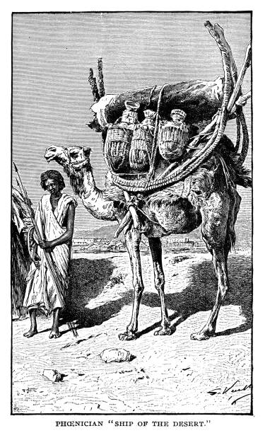 istock Phoenician ship of the desert 1084578902
