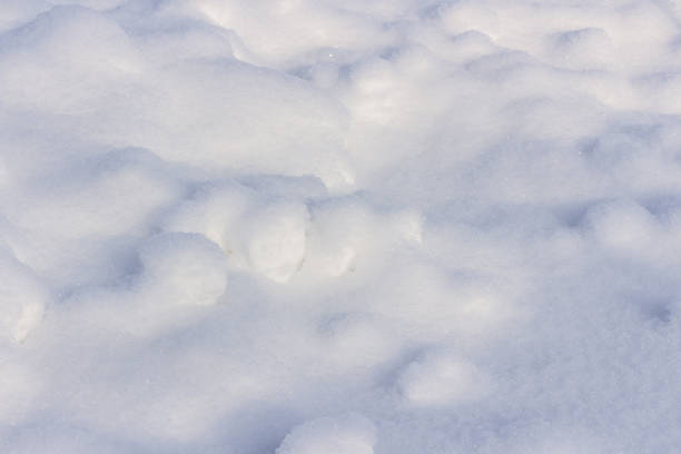 istock Freshly fallen snow background. Snow drifts. 1084584606