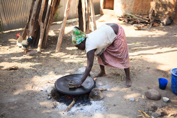 ari plemię kobieta gotowanie injera - africa african descent cooking african culture zdjęcia i obrazy z banku zdjęć