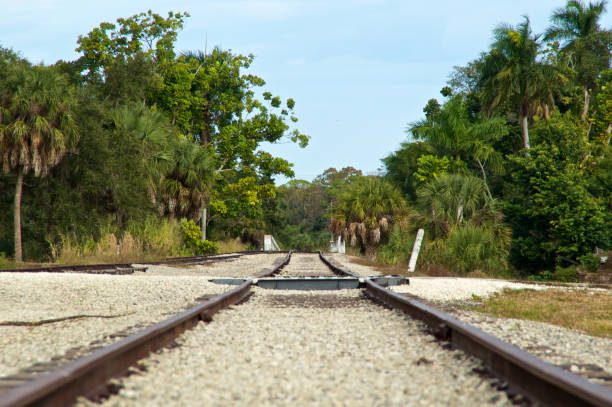 Low angle view of old abandoned railroad tracks in tropical setting of Bonita Springs, Florida.