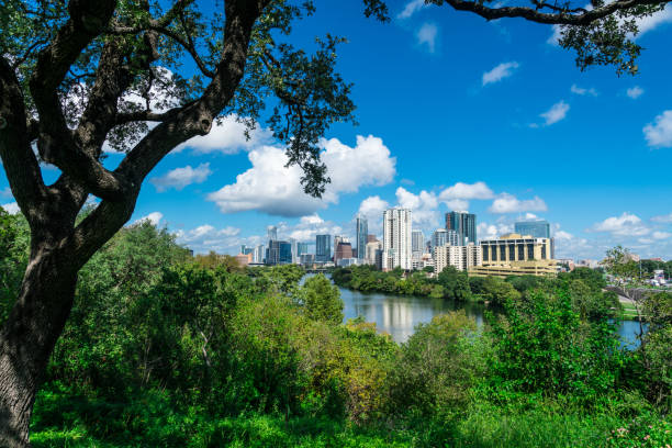 istock Shade under tall oak Tree in Austin Texas 1084607276