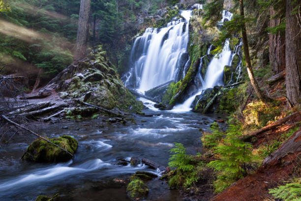 istock National Creek falls, Oregon 1084612330