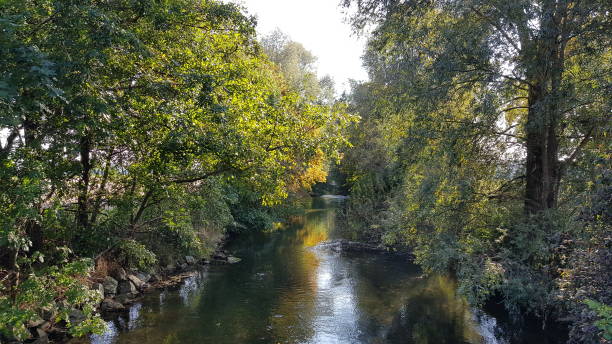 istock Beautiful landscape of a river flowing between trees 1084612684