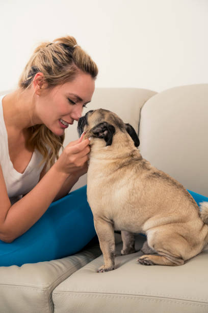 istock Woman with her pet dog 1084613540
