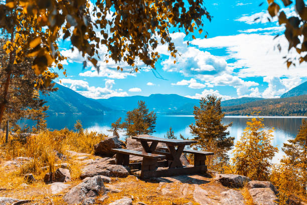 Opening into a little slice of paradise Norway, Forest, Fjord, Scenic View, Mountain - Lonely bench hidden in a quiet corner in a forest in Norway, overlooking a fjord with mountains around it. fall picnic table stock pictures, royalty-free photos & images