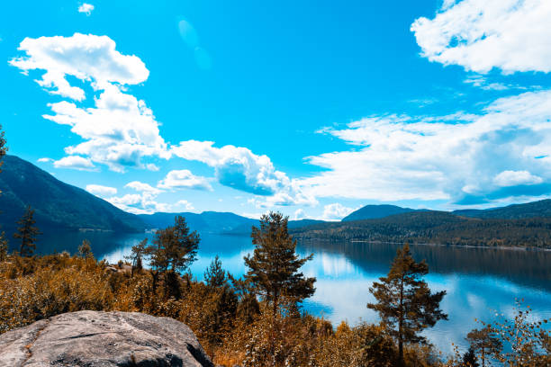 Fjord, Norway, Mountain, Forest - Forest trailing opening up to a view of a fjord and mountain valley.