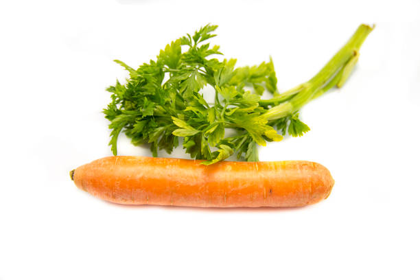 Carrot tubers isolated on white background