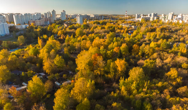 istock Autumn deciduous forest near a Zelenograd, Russia 1084630908