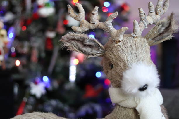 istock Reindeer Standing In Front Of Christmas Tree 1084636674